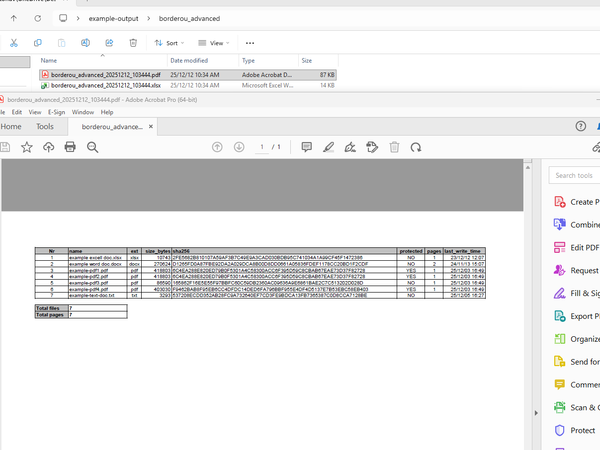 DocInspector Pro interface screenshot 10